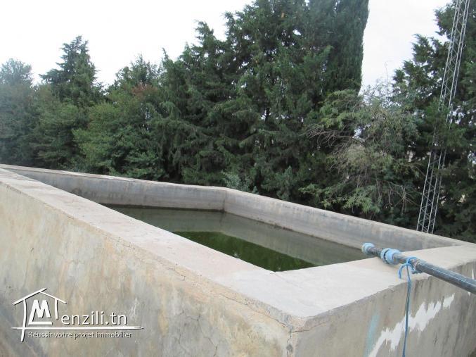 Ferme agricole a El Houdh, Tajerouine