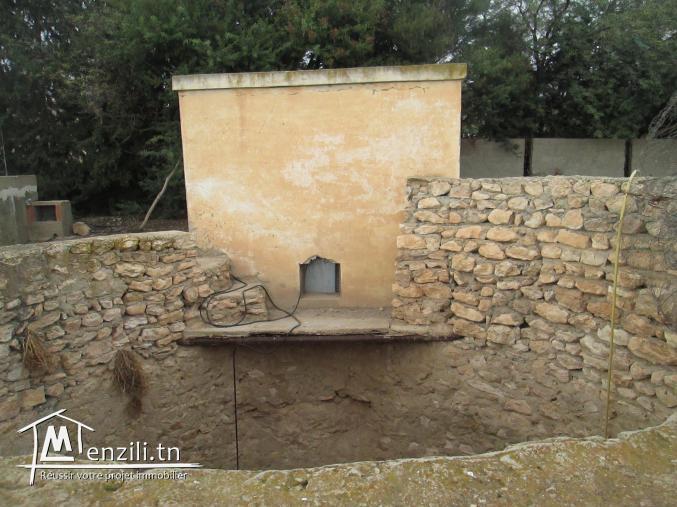 Ferme agricole a El Houdh, Tajerouine