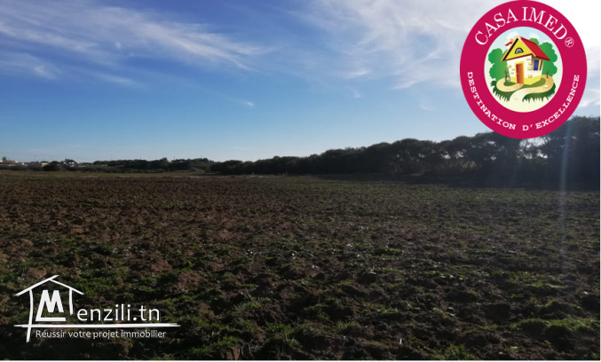 un terrain à vendre à haouaria pour plus d'info 26305654