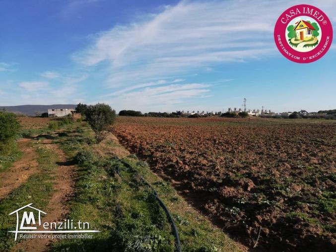 un terrain à vendre à haouaria pour plus d'info 26305654