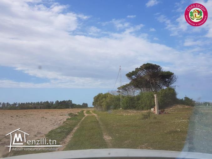 un terrain à vendre à kerkouane pour plus d'info 26305654