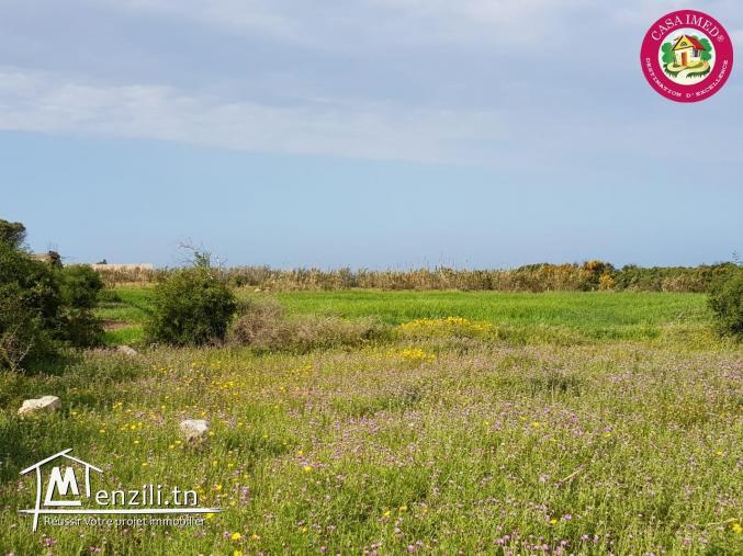 un terrain à vendre à kerkouane pour plus d'info 26305654