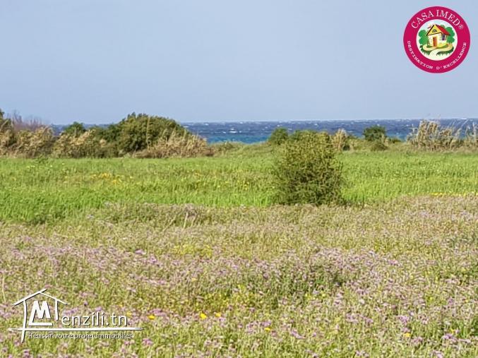 un terrain à vendre à kerkouane pour plus d'info 26305654