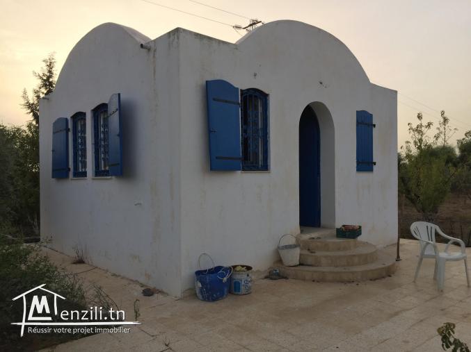 للبيــــــــــع بالحميم أرض الكشباطي