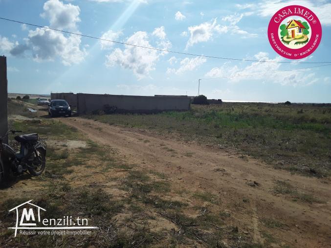 chez casa imed un terrain citué à dar allouch kélibia 26 305 654