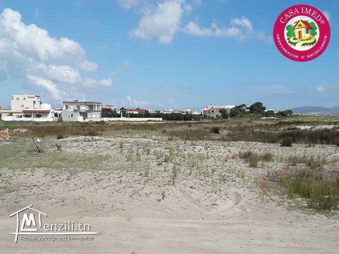 chez casa imed un terrain citué à dar allouch kélibia 26 305 654