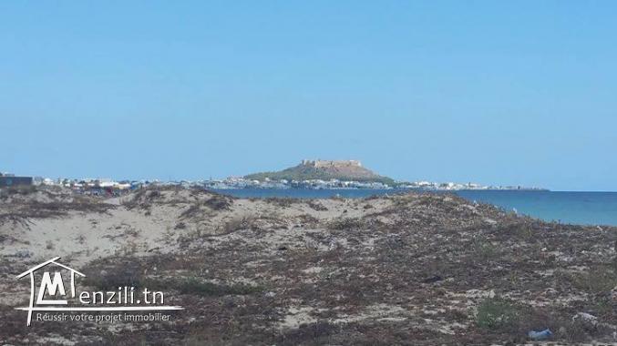 Terrain a vendre à ain grenz kélibia TLF 26 305 654