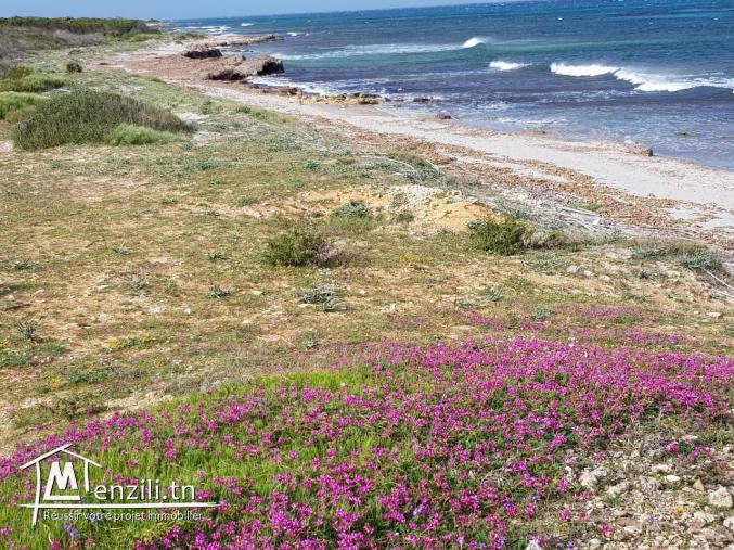 un terrain vue de mer a vendre en promotion à kerkouane / kelibia