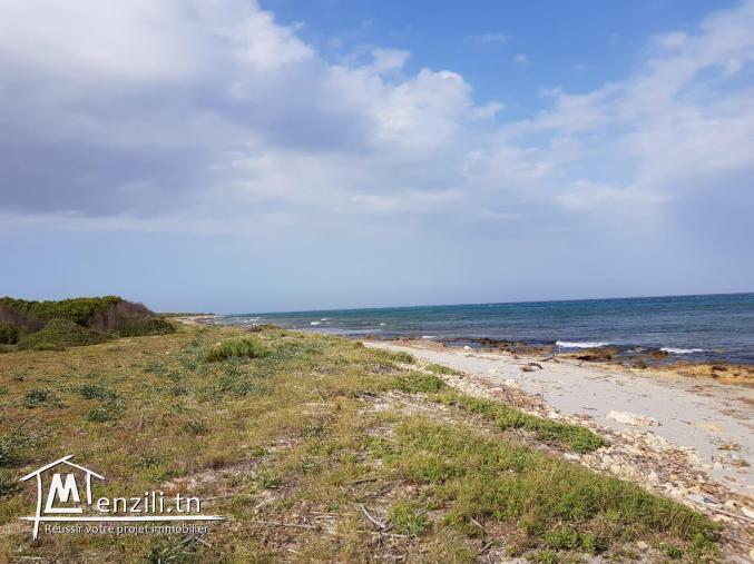 un terrain vue de mer a vendre en promotion à kerkouane / kelibia