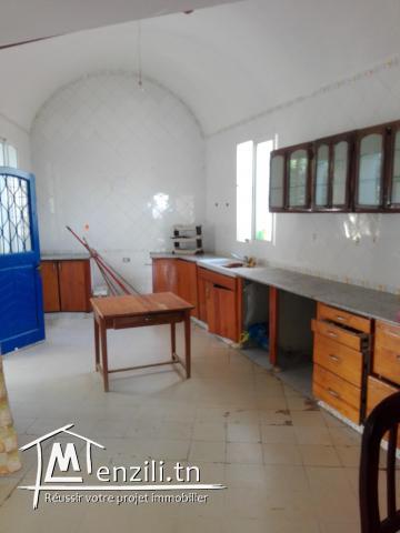 Maison à vendre de 543 m2