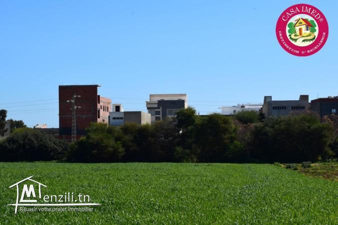 promotion speciale chez casa imed un terrain a vendre à kélibia 26305654