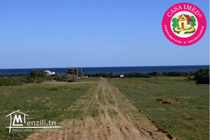 un terrain a vendre à kerkouane plage pour plus d'info 26305654