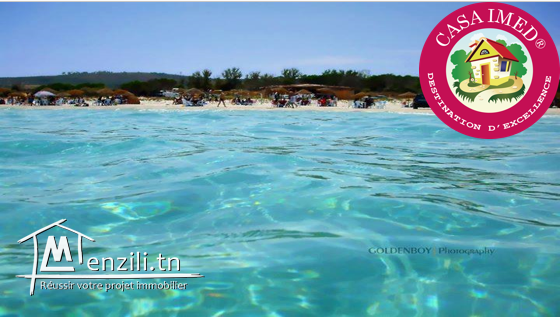 un terrain a vendre à kerkouane plage pour plus d'info 26305654