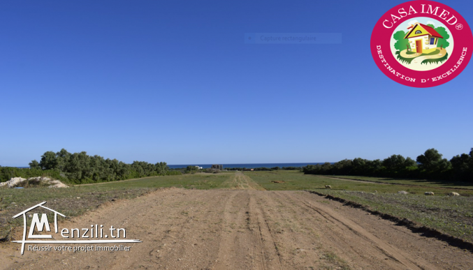 un terrain a vendre à kerkouane plage pour plus d'info 26305654