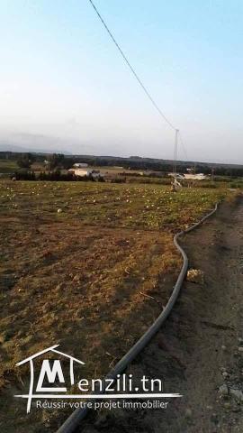 ارض كبيرة للبيع في قليبية