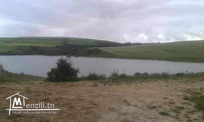 ارض كبيرة للبيع في قليبية