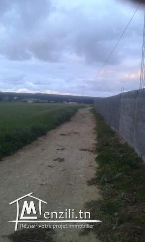 ارض كبيرة للبيع في قليبية