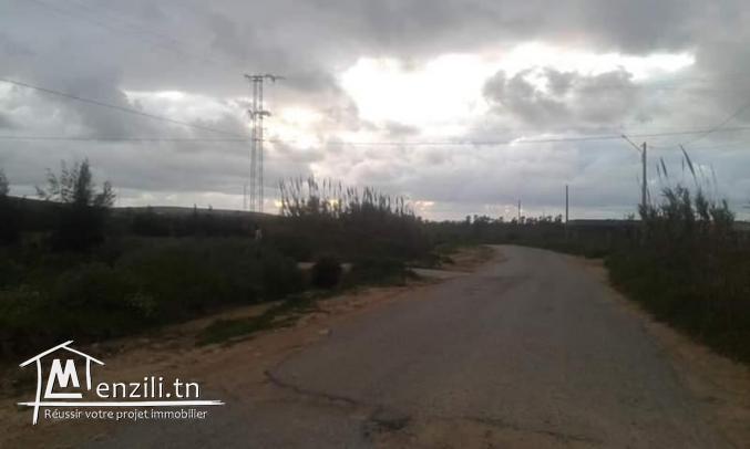 ارض كبيرة للبيع في قليبية