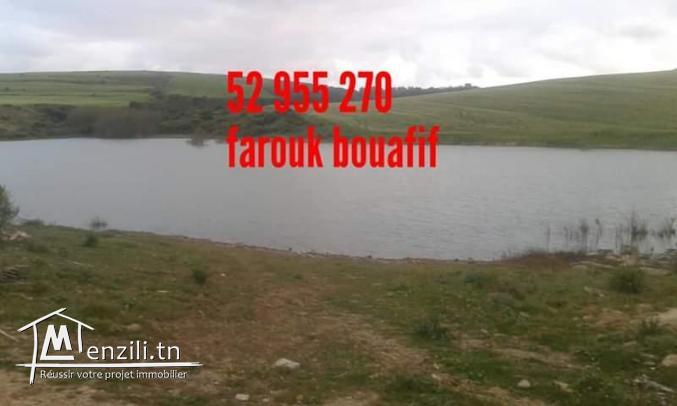 ارض كبيرة للبيع في قليبية