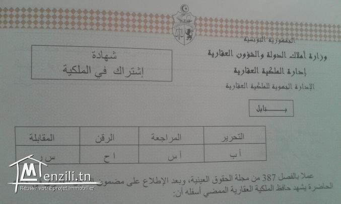 ارض كبيرة للبيع في قليبية