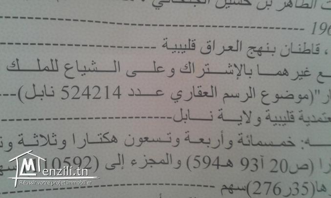 ارض كبيرة للبيع في قليبية