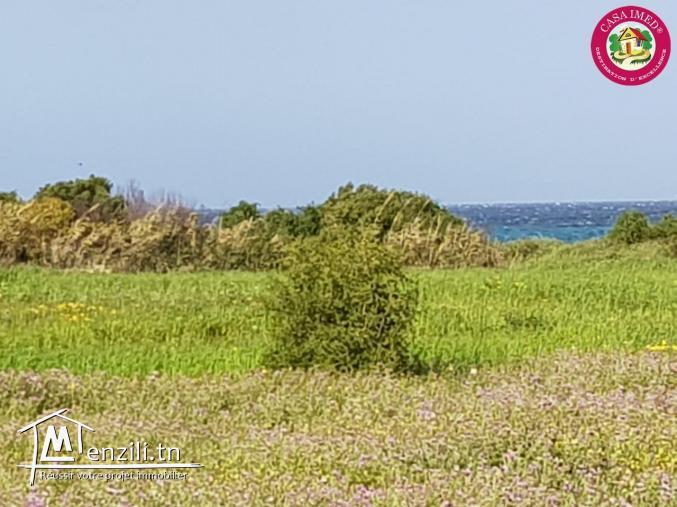 une offre spéciale chez casa imed un terrain a vendre à kerkouane pour plus d'info 26305654