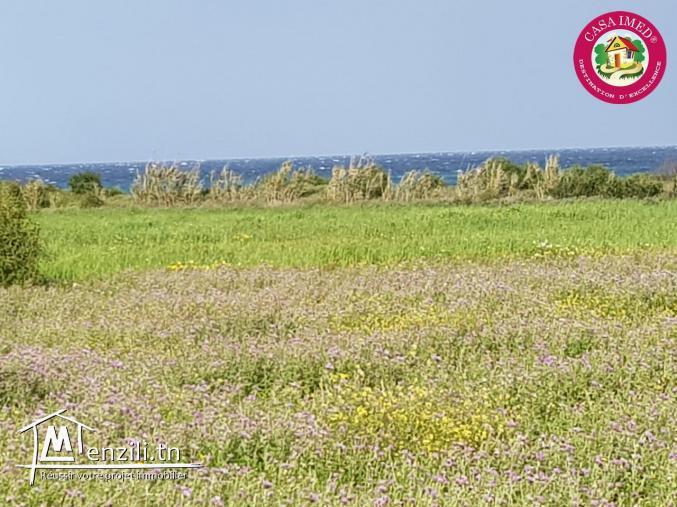 une offre spéciale chez casa imed un terrain a vendre à kerkouane pour plus d'info 26305654