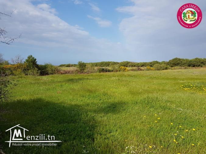 une offre spéciale chez casa imed un terrain a vendre à kerkouane pour plus d'info 26305654