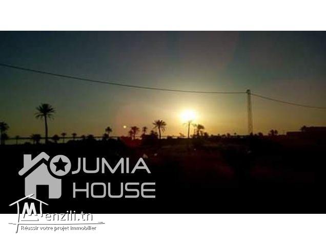 A.V Super Terrain à Kerkennah, Ras Bounouma (600 ou 800m²)