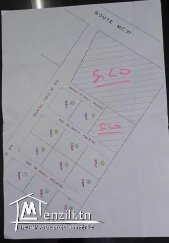 Terrain agricole sur la route de Kelibia C27