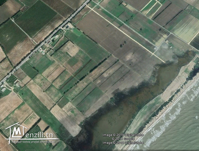 Terrain agricole sur la route de Kelibia C27