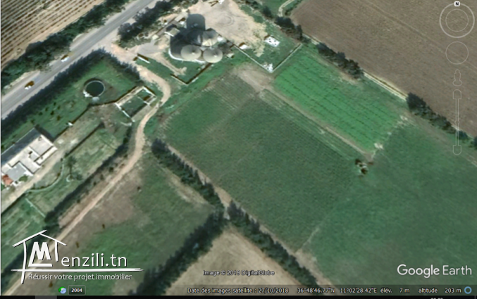 Terrain agricole sur la route de Kelibia C27