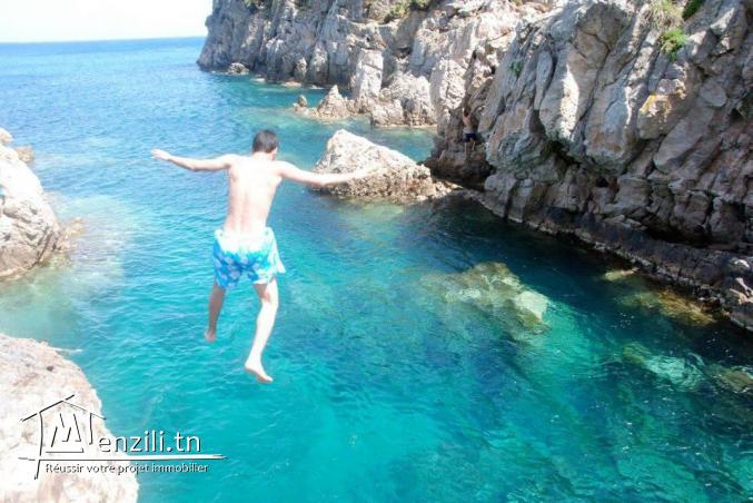 une occasion chez casa imed un lotissement a vendre pour plus d'info 26875066