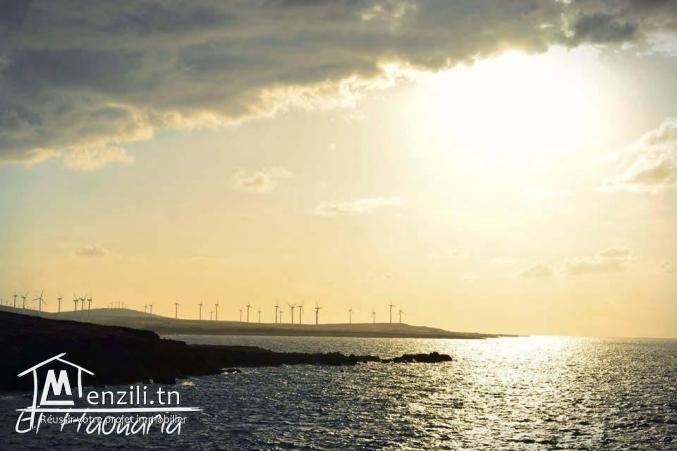 une promotion spéciale chez casa imed un lot a vendre a haouaria contactez 26875066