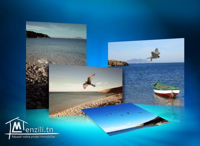 un lotissement a vendre à haouaria pour plus d'info 26875066