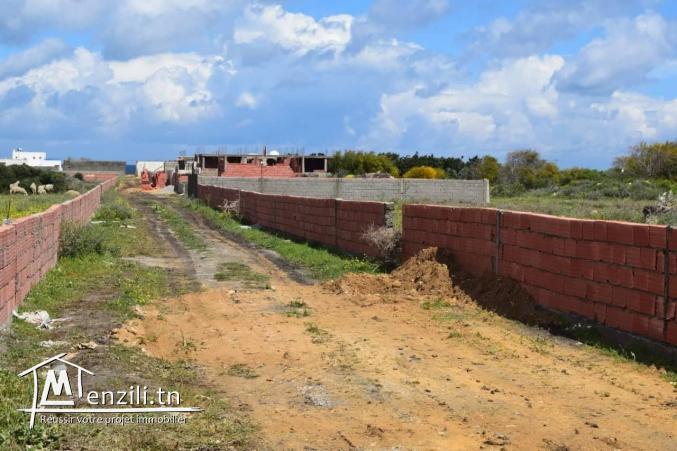 terrain a vendre à kerkouane kelibia