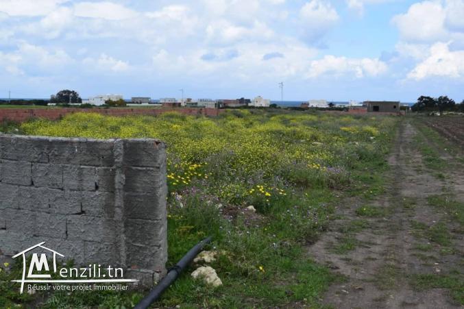 terrain a vendre à kerkouane kelibia