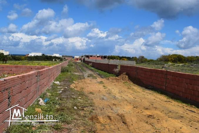terrain a vendre à kerkouane kelibia