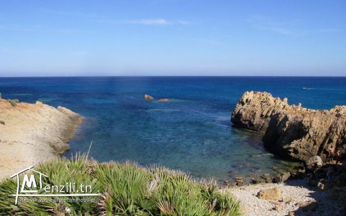 un lotissement a vendre à haouaria pour plus d'info 26875066