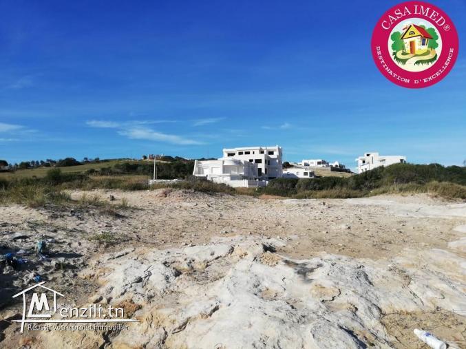 terrain a vendre à El haouaria