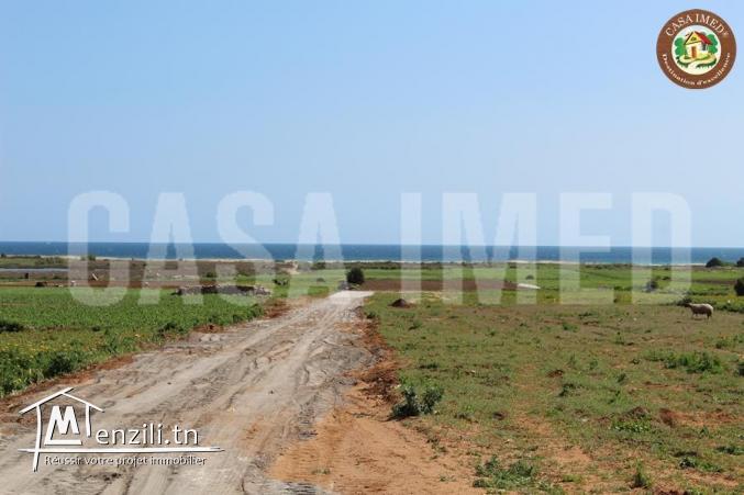 un lotissement a vendre en promotion a menzel hor pour plus d'info 26875066