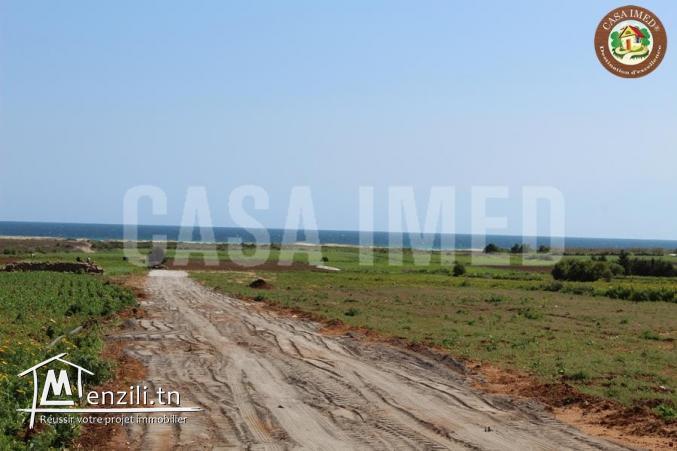 offre spécial chez casa imed lotissement a vendre a menzel hor 26875066