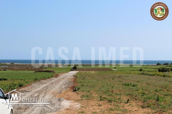 offre spécial chez casa imed lotissement a vendre a menzel hor 26875066