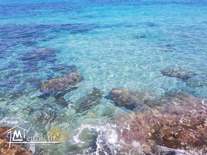 profiter l'été en vue de mer
