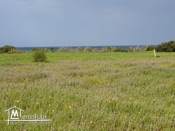 profiter l'été en vue de mer