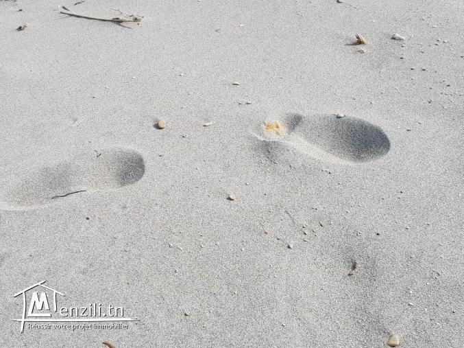 profiter l'été en vue de mer