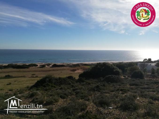 un lotissement a vendre à haouaria pour plus d'info 26875066