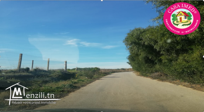 un lotissement a vendre à haouaria pour plus d'info 26875066