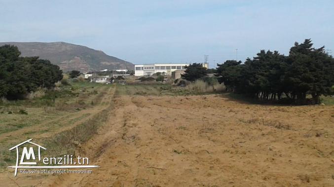 Nouveau lotissement 300 m² à plage sable blanc Elhaouaria