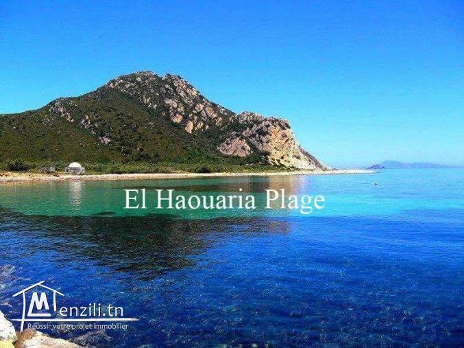 Nouveau lotissement 300 m² à plage sable blanc Elhaouaria